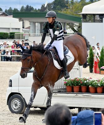 力強く障害物を跳び越える馬と選手＝23日午後１時15分、宇都宮市下荒針町