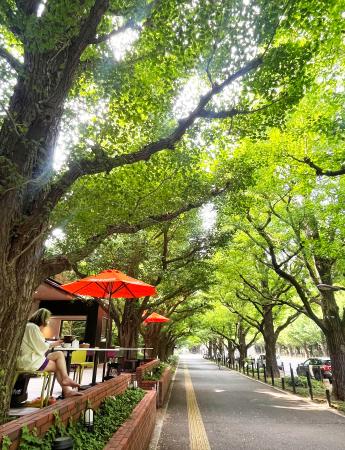 　イチョウ並木沿いにあるカフェのテラス席＝東京都港区