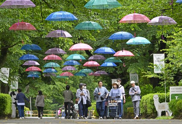 梅雨空の中、千本松牧場で「アンブレラウォーク」開催