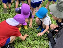 誰ひとり取り残さない...自然体験の格差なくす　とちぎ子ども自然体験活…