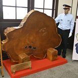 思い出の「並木杉円盤」がＪＲ日光駅に　日光・旧小百小から譲渡　観光客を…