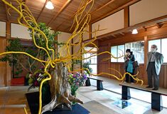 日光田母沢御用邸で假屋崎省吾の世界展