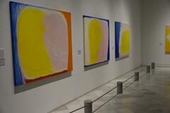 追求した色、形、光