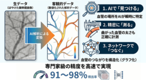 血管の複雑な形をAIで自動測定する新ツールを開発