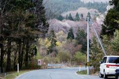 警官がクマに襲われ負傷、岩手