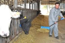 ＜92＞生産量　本州１位の生乳　健康の頼もしき相棒　栄養豊富、６次産業化も   