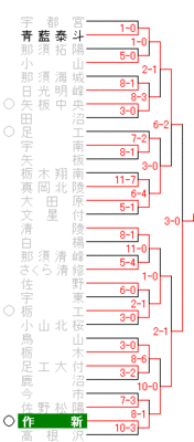 第91回全国高校野球選手権栃木大会　トーナメント
