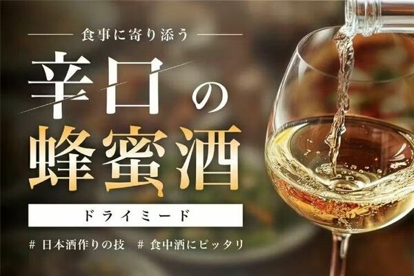天鷹酒造のドライミードのクラウドファンディングフライヤーデザイン