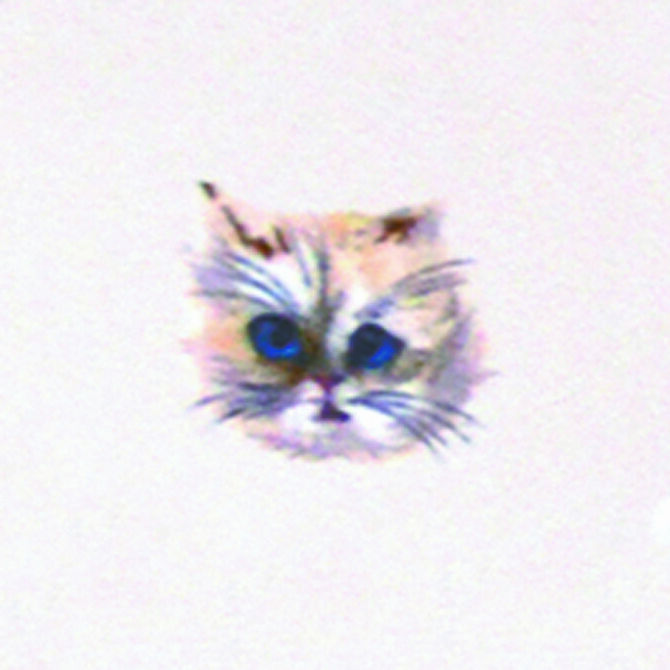 人気の猫柄
