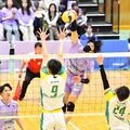 レーヴィス栃木、つくばに３－０で快勝　持ち味発揮、攻守で盤石