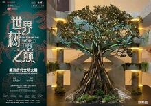 上海博物館、「世界樹の頂上で:アメリカ大陸の古代文明」展を開催へ