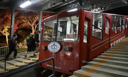 紅葉の下、映える車体