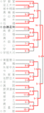 17春　トーナメント表