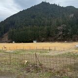 鹿沼・大芦川河川敷２カ所を「オープン化」　民間の営利事業を認める　オーバーツーリズム対策