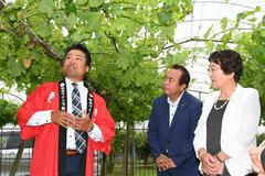 市内産ブドウでワインを醸造へ