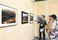 全国入選など 力作１００点展示　
