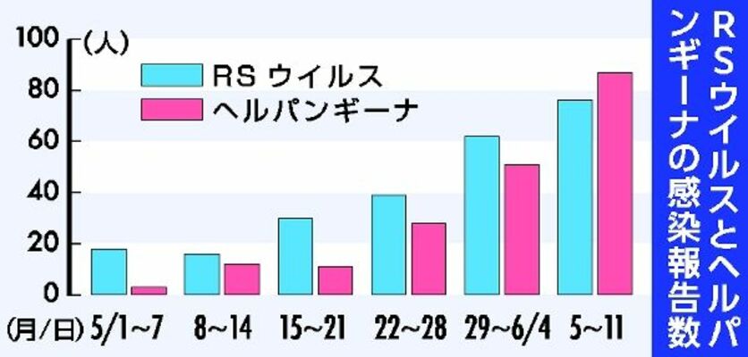 ＲＳウイルスとヘルパンギーナの感染報告数