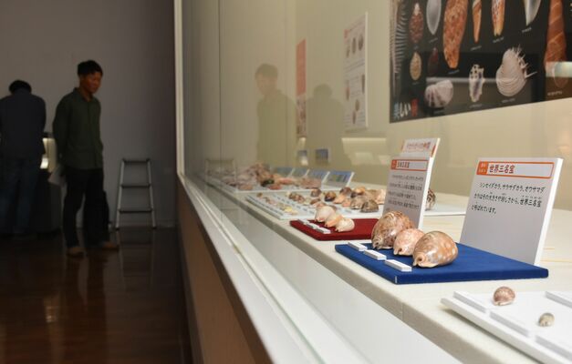 開催されている展示会