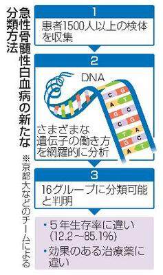 　急性骨髄性白血病の新たな分類方法