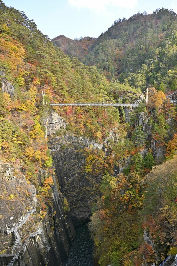 渓谷を色鮮やかに染める瀬戸合峡の紅葉=6日午後0時25分日光市川俣