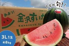 砂丘地が育てる、甘さとシャリ感が特長の石川県産「金沢すいか」を JAタ…