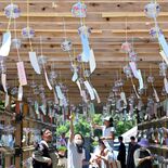 下野・華蔵寺で「風鈴まつり」　色とりどり1100個、境内彩る