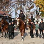 栃木県内高校で唯一の馬術部 馬と向き合い生まれた信頼、インターハイ優勝…