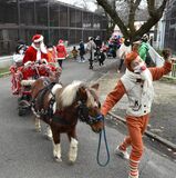 宇都宮動物園でクリスマスパレード　ポニーひく馬車に子どもら集結