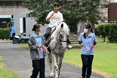 知ってる？ ホースセラピー