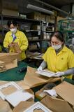 働くシニア １０年で６倍栃木労働局 ２２年、８８４７人に　７０歳以上 高まる意欲／県内企業 即戦力確保