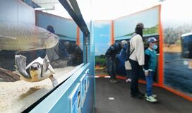 なかがわ水遊園「おもしろ魚館」再開