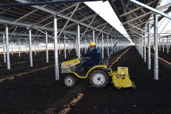 発電を開始した営農型太陽光発電所を走るデモンストレーション用トラクター＝茨城県筑西市