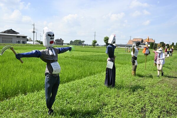 立ち並ぶ個性的な手作りのかかし