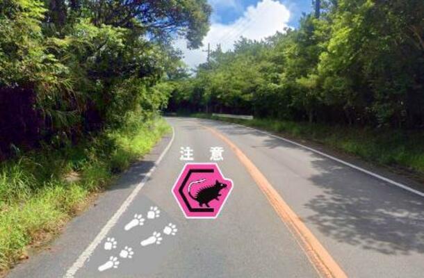 　運転手にケナガネズミへの注意を促す路面デザインのイメージ