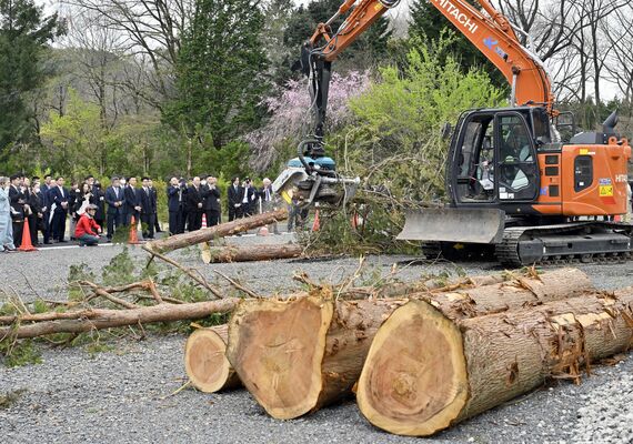 入学式で披露された重機による造材作業＝８日午前11時35分、宇都宮市下小池町