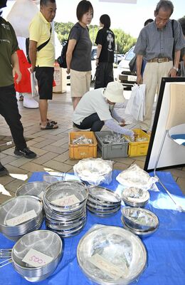 多くの観光客が集まった洋食器の販売テント