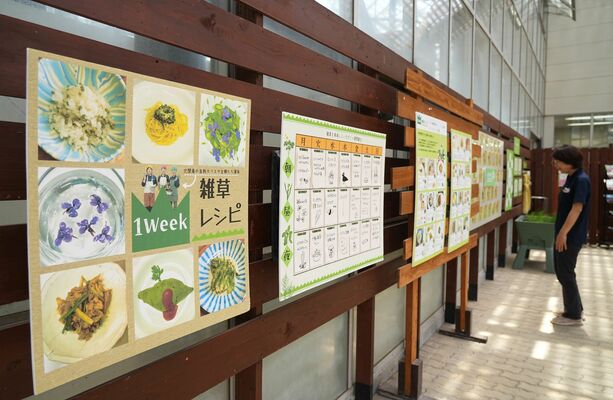 「雑草レシピ」などを紹介している企画展