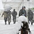 盛岡では雪でも傘を差さない？　仮説...雪の日が多過ぎ　“北国のプライド”との声も