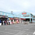 鮮度抜群、旬の海の幸豊富　日立おさかなセンター　原発風評被害乗り越え盛況