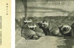 戦前の国家機関、動物養殖