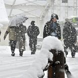 盛岡では雪でも傘を差さない？　仮説...雪の日が多過ぎ　“北国のプライ…