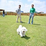 鬼怒グリーンパークにドッグランOPEN　栃木県営都市公園で初　全芝生の…