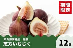 糖度が高くて甘―い！ＪＡ兵庫南特産「志方いちじく」の予約販売開始！ 先着20名様限定で300円OFF！