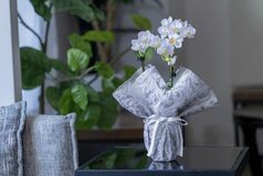 メッセージ付き胡蝶蘭ギフト「偲び花」シリーズ新登場