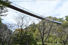 アドベンチャーブリッジの長さは