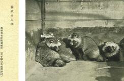 戦前の国家機関、動物養殖