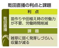 【田植え不要のコメ栽培】労働時間短縮に魅力