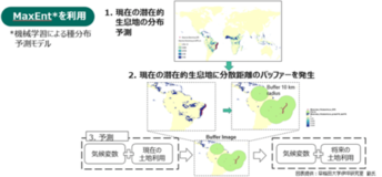 土地利用の変化が生物多様性に与える影響を世界規模で高精度に把握