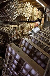 養蚕農家で繭作り大詰め　小山