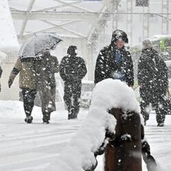 盛岡では雪でも傘を差さない? 仮説...雪の日が多過ぎ “北国のプライド”との声も